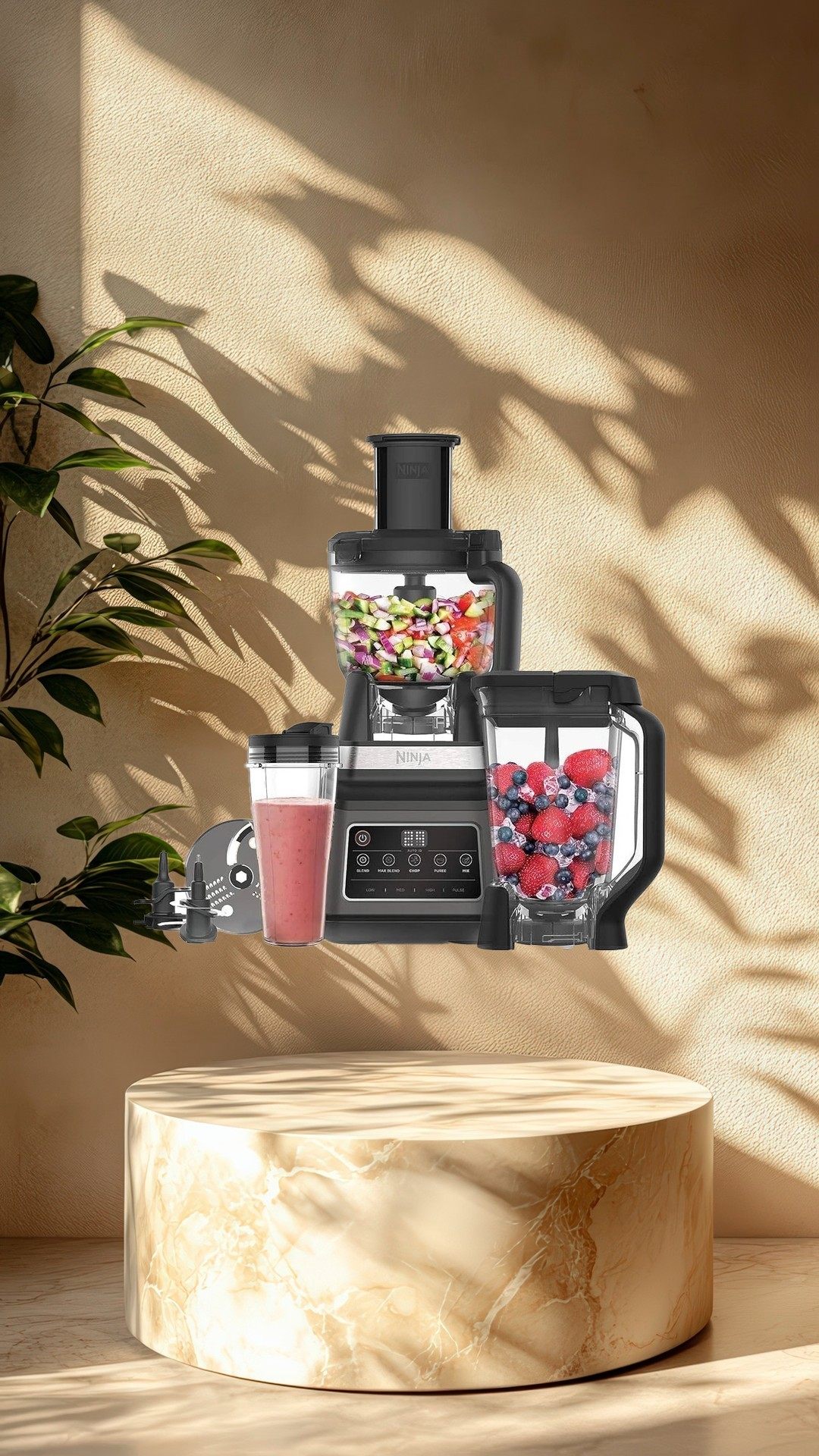 انواع غذاساز